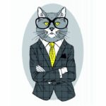 Rosa Start Fashion Cat 35 х 45 см купити уить