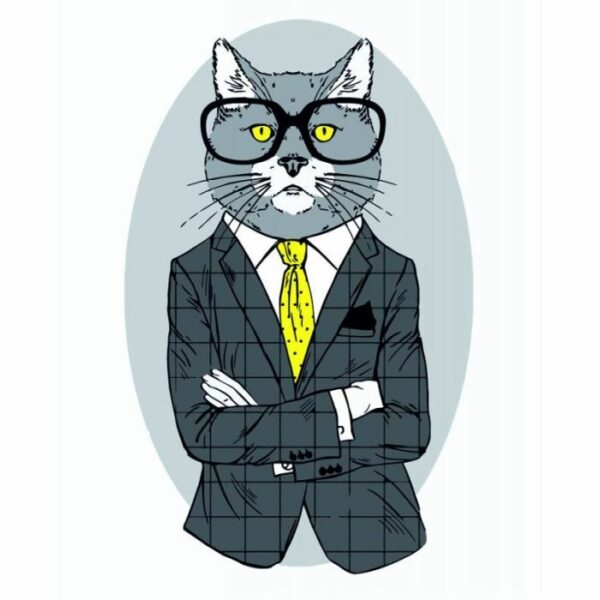 Rosa Start Fashion Cat 35 х 45 см купити уить