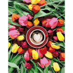 Rosa Start Ранкові тюльпани 35х45 см купити уить