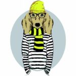 Rosa Start Stylish Dog 35 х 45 см купити уить