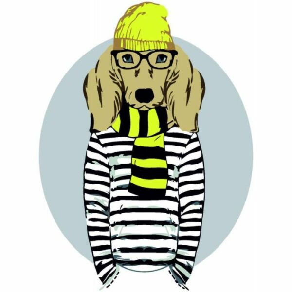 Картина по Rosa Start Stylish Dog 35 х 45 см купити уить