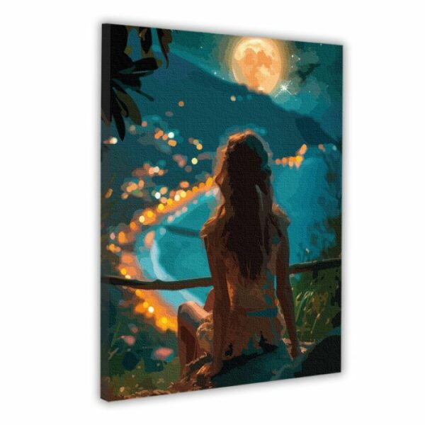 Картина за номерами Santi Дівчина і нічне місто, 40*50см, LED підсвітка купити в Україні куить Украина