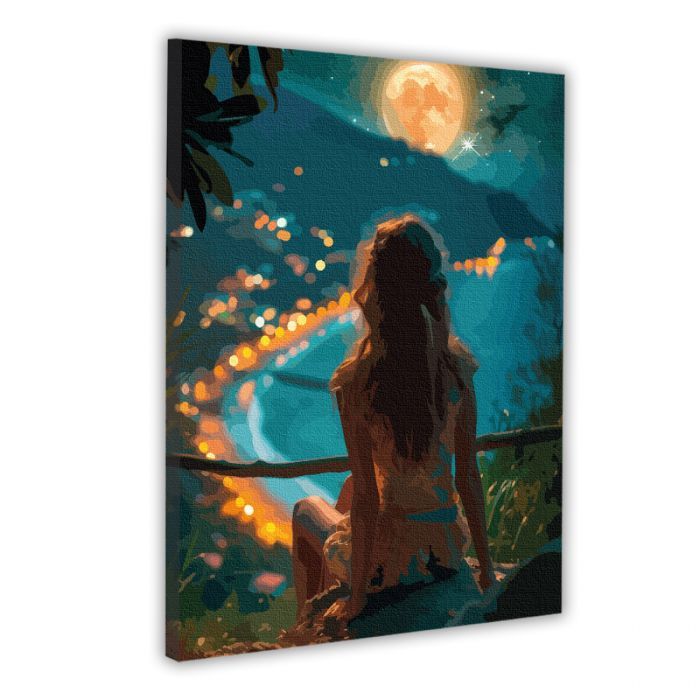Картина по номерам Santi Дівчина і нічне місто Santi Дівчина і нічне місто, 40*50см, LED підсвітка купити в Україні куить Украина
