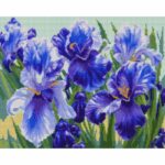 Santi Блакитні іриси 40*50 см купити в Україні куить Украина