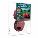 Santi Соковита малина 40*50 см купити уить