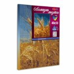 Santi Золотий колос 40*50 см купити в Україні куить Украина